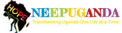 NEEP Logo Color